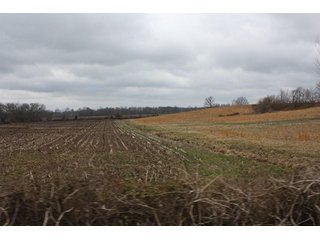 Property photo 2 - 438 +/- Acres Offered in 10 Tracts - Metcalf Farms - 6PM CST